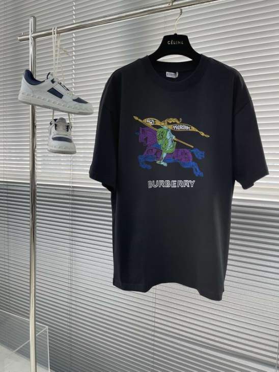 Picture of Burberry T Shirts Short _SKUBurberryS-2XLtltx6019792